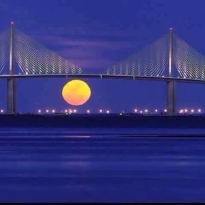 Meet your Posher, Jerry